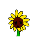 sunflower emotion（個別スタンプ：7）