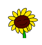 sunflower emotion（個別スタンプ：8）