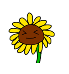 sunflower emotion（個別スタンプ：9）