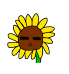 sunflower emotion（個別スタンプ：10）