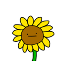 sunflower emotion（個別スタンプ：14）