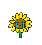 sunflower emotion（個別スタンプ：15）