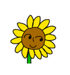 sunflower emotion（個別スタンプ：16）