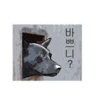 Taiwan Dog (Korean Version)（個別スタンプ：34）