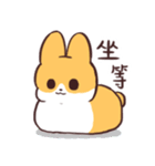 Miko the Rabbit（個別スタンプ：16）