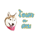 Husky-Husko Version 2（個別スタンプ：6）