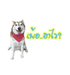 Husky-Husko Version 2（個別スタンプ：14）