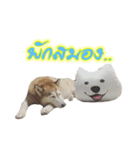 Husky-Husko Version 2（個別スタンプ：32）