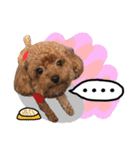 Puppy's Daily（個別スタンプ：2）