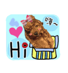 Puppy's Daily（個別スタンプ：3）