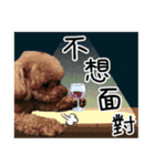 Puppy's Daily（個別スタンプ：6）