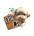 Puppy's Daily（個別スタンプ：8）