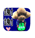 Puppy's Daily（個別スタンプ：11）