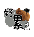 Puppy's Daily（個別スタンプ：14）