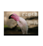 鳥さんの一言コメント（個別スタンプ：7）