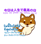 犬 信頼しなさい 日本タイ（個別スタンプ：5）