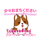 犬 信頼しなさい 日本タイ（個別スタンプ：28）