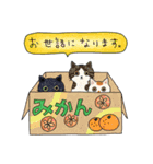 日々猫スタンプ 2（個別スタンプ：4）