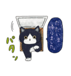 日々猫スタンプ 2（個別スタンプ：9）