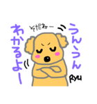 トイプーのリュウくん。（個別スタンプ：7）