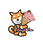 Thankshiba（個別スタンプ：2）