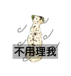 Dalmatian PongPong（個別スタンプ：8）