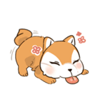 Hachi Shiba ＆ Lamoon Cat（個別スタンプ：24）