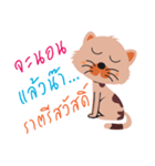 Meaw Za Daily Greeting（個別スタンプ：9）