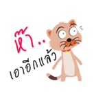 Meaw Za Daily Greeting（個別スタンプ：12）