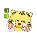 Cute striped cat. CAT129（個別スタンプ：25）