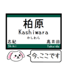 関西本線の大和路線 おおさか東線 今この駅（個別スタンプ：11）