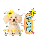 Pretty dog 日常の幸せ（個別スタンプ：2）