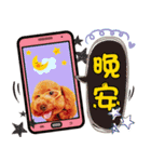 Pretty dog 日常の幸せ（個別スタンプ：3）