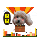 Pretty dog 日常の幸せ（個別スタンプ：6）