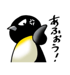プンプンペンギン（個別スタンプ：7）