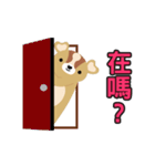 daydream bear Every day（個別スタンプ：19）