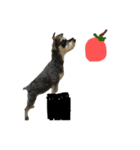 Apple dog nico（個別スタンプ：1）