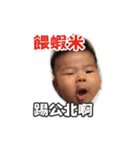 baby fat fat 0-1（個別スタンプ：16）