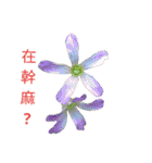 Song of Flowers（個別スタンプ：5）