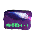 super useful fish pictures part1（個別スタンプ：16）