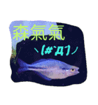 super useful fish pictures part1（個別スタンプ：21）