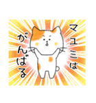 お名前シリーズ・トラ猫：マユミさん用（個別スタンプ：12）