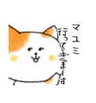 お名前シリーズ・トラ猫：マユミさん用（個別スタンプ：20）