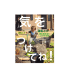 ルークの成長記 一歳（個別スタンプ：12）