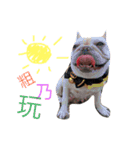 Chu me dogs（個別スタンプ：14）