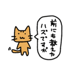 俺様なネコ→敬語だけど失礼ですバージョン（個別スタンプ：19）