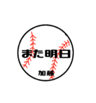 大好き野球【加藤さん専用】（個別スタンプ：30）