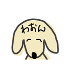 うるさい愛犬（個別スタンプ：12）