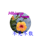 The Language of Flower（個別スタンプ：17）