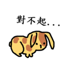 Yellow ＆ Brown Animals Daily Phrases（個別スタンプ：16）